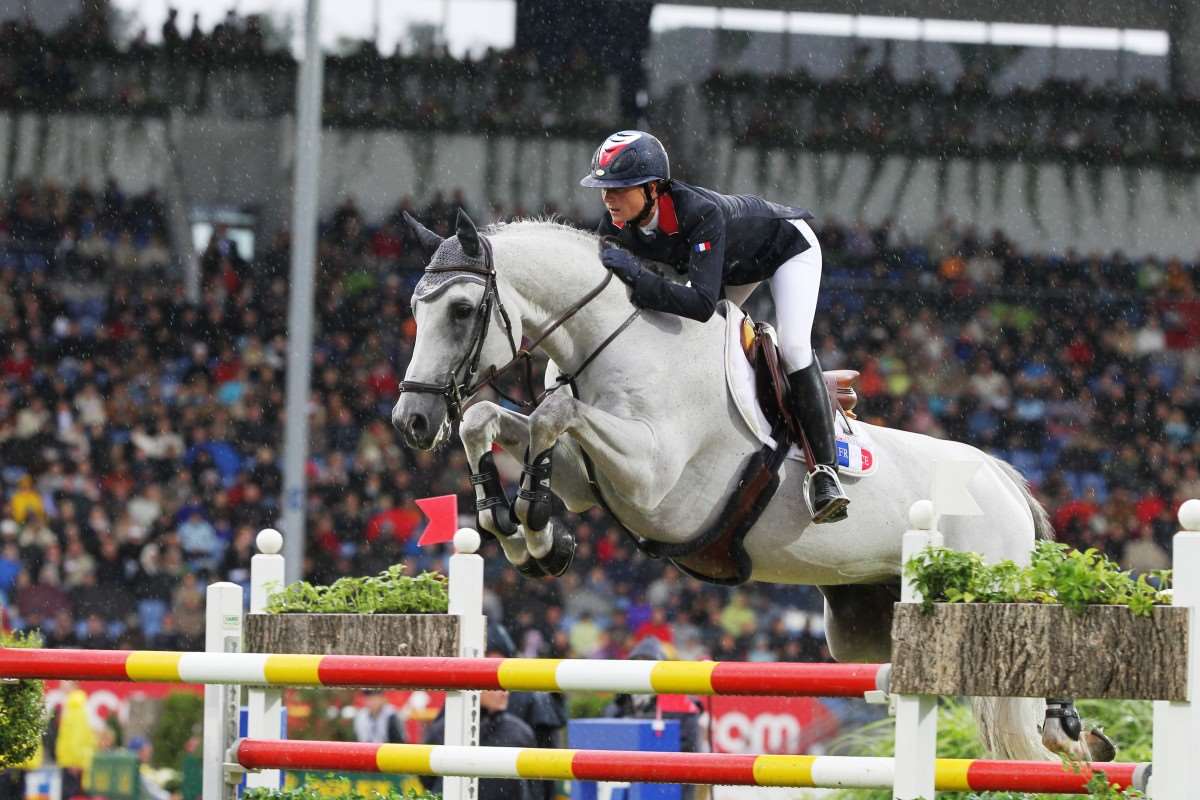 Mylord Cathago Stallion
